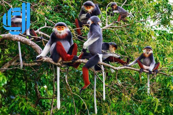 tour hải phòng đà nẵng 3 ngày 2 đêm trọn gói khởi hành hằng ngày