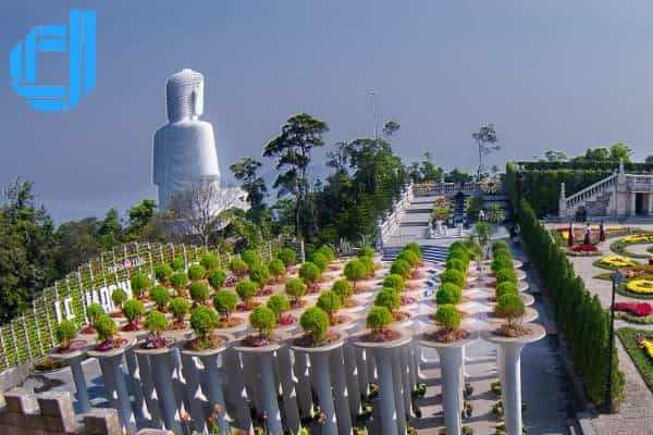 Tour Cần Thơ Đà Nẵng 3 ngày 2 đêm trọn gói - D2tour