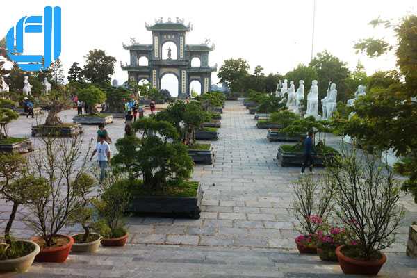 Tour Đà Lạt Đà Nẵng 5 ngày 4 đêm bằng máy bay khởi hành hằng ngày