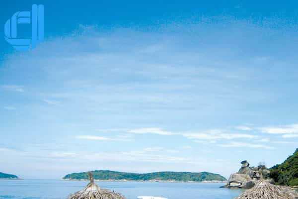 Tour Đà Nẵng 2 ngày 1 đêm khởi hành hằng ngày - D2tour