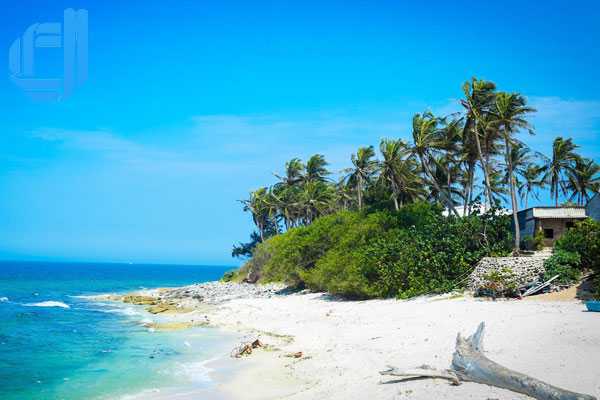 Tour đảo Lý Sơn 1 ngày khởi hành từ Đà Nẵng | D2tour Đà Nẵng