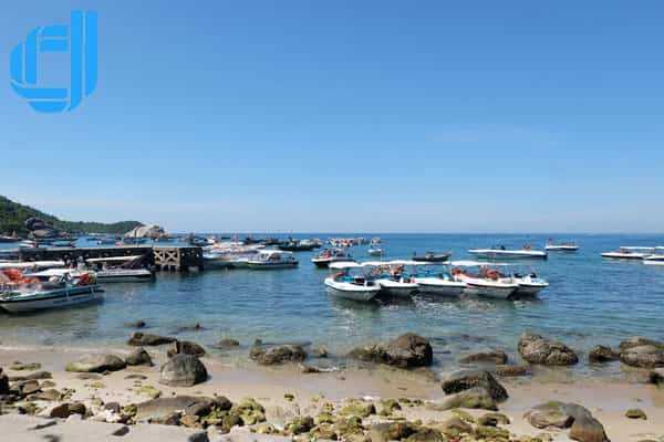 Tour du lịch An Giang Đà Nẵng 3 ngày 2 đêm trọn gói | D2tour