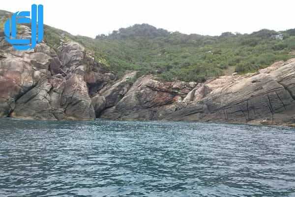 Tour du lịch An Giang Đà Nẵng 3 ngày 2 đêm trọn gói | D2tour