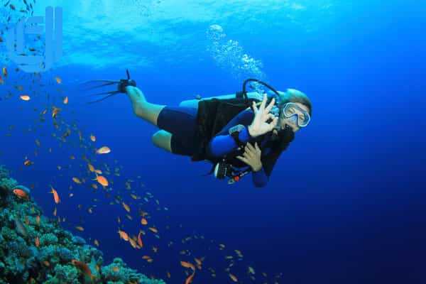 Tour du lịch An Giang Đà Nẵng 3 ngày 2 đêm trọn gói | D2tour