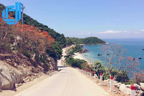 Tour du lịch Bạc Liêu Đà Nẵng 3 ngày 2 đêm trọn gói chuẩn nhất