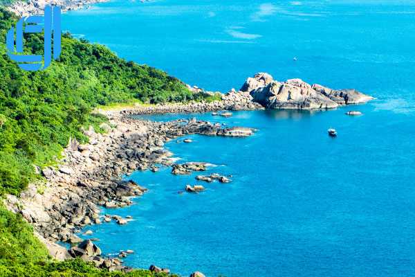 Tour du lịch Đà Nẵng 1 ngày lặn ngắm san hô tại bán đảo Sơn Trà