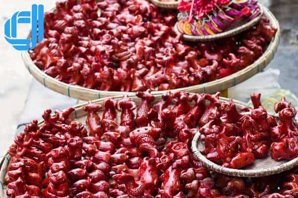 Tour du lịch Đà Nẵng từ Điện Biên 5 ngày 4 đêm trọn gói | D2tour