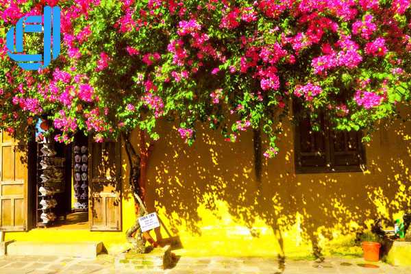 Tour du lịch Đà Nẵng từ Tây Ninh 3 ngày 2 đêm khởi hành hằng ngày