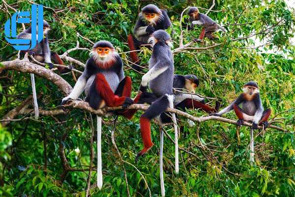 Tour du lịch Đà Nẵng 5 ngày 4 đêm khởi hành từ Lào Cai | D2tour