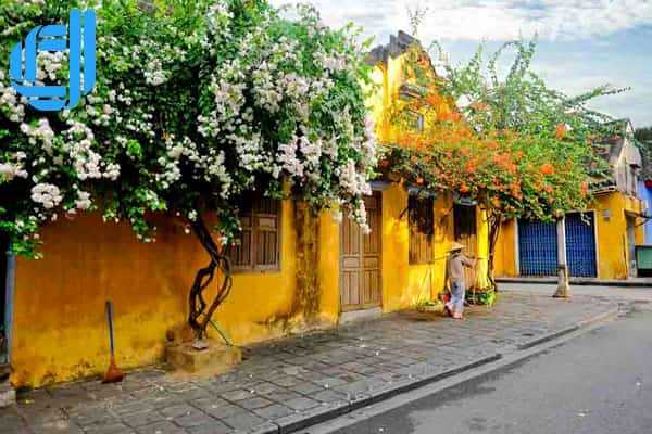 Tour du lịch HCM Đà Nẵng 3 ngày 2 đêm bằng máy bay | D2tour