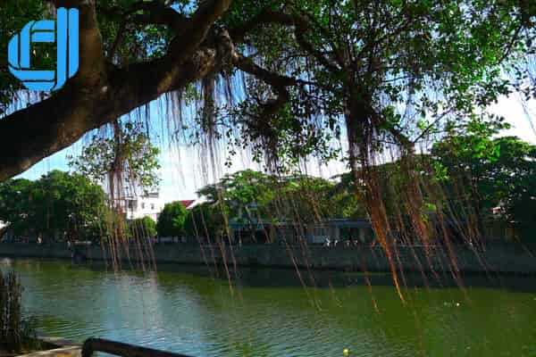 Tour du lịch Huế 1 ngày | Tour Huế Đà Nẵng trong ngày - D2tour