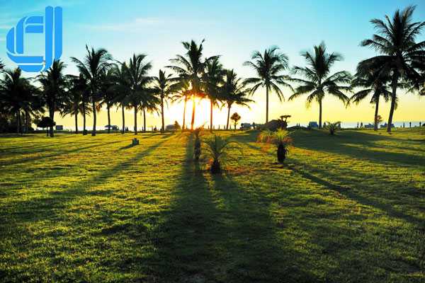 Tour du lịch Hưng Yên Đà Nẵng 4 ngày 3 đêm trọn gói | D2TOUR