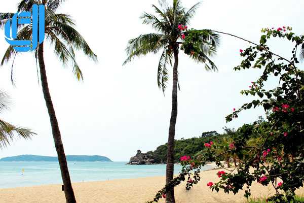 Tour du lịch Khánh Hòa Đà Nẵng 4 ngày 3 đêm trọn gói |  D2TOUR