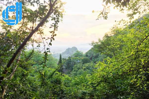 Tour du lịch Tuyên Quang Đà Nẵng 4 ngày 3 đêm trọn gói