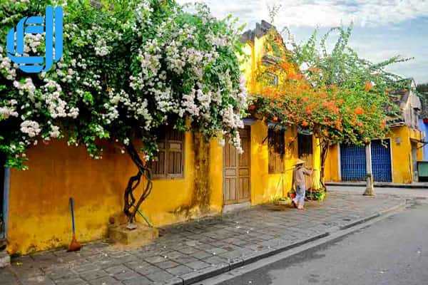 Tour du lịch Vũng Tàu đi Đà Nẵng 3 ngày 2 đêm trọn gói | D2tour