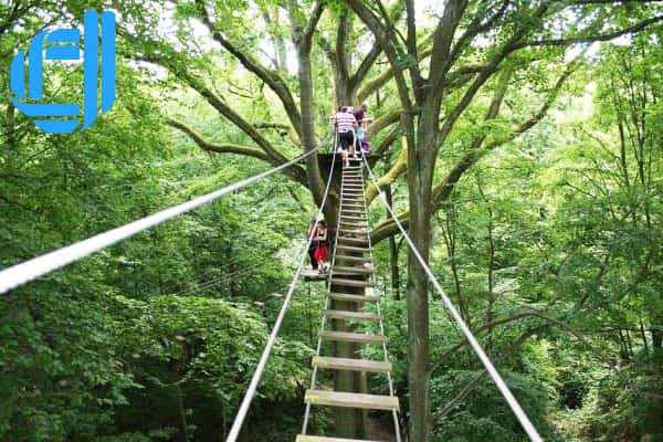 Tour du lịch Thanh Tân Huế 2 ngày 1 đêm khởi hành hằng ngày