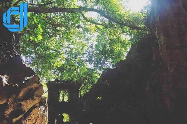 Tour Vũng Tàu Đà Nẵng trọn gói 3 ngày 2 đêm dịch vụ chuẩn | D2tour